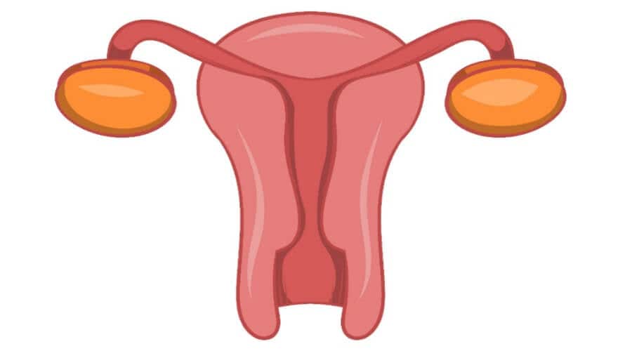 Zdravljenje endometrija